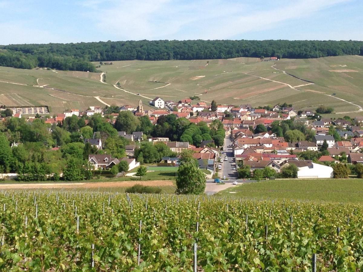 Gite Du Clos Pommier Chavot-Courcourt Exterior photo